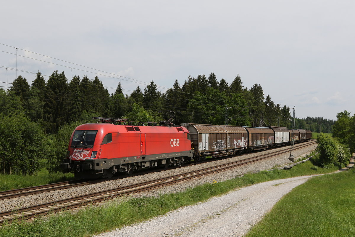 1116 1119 mit einem kurzen G�terzug am 2. Mai 2020 bei Grabenst�tt.