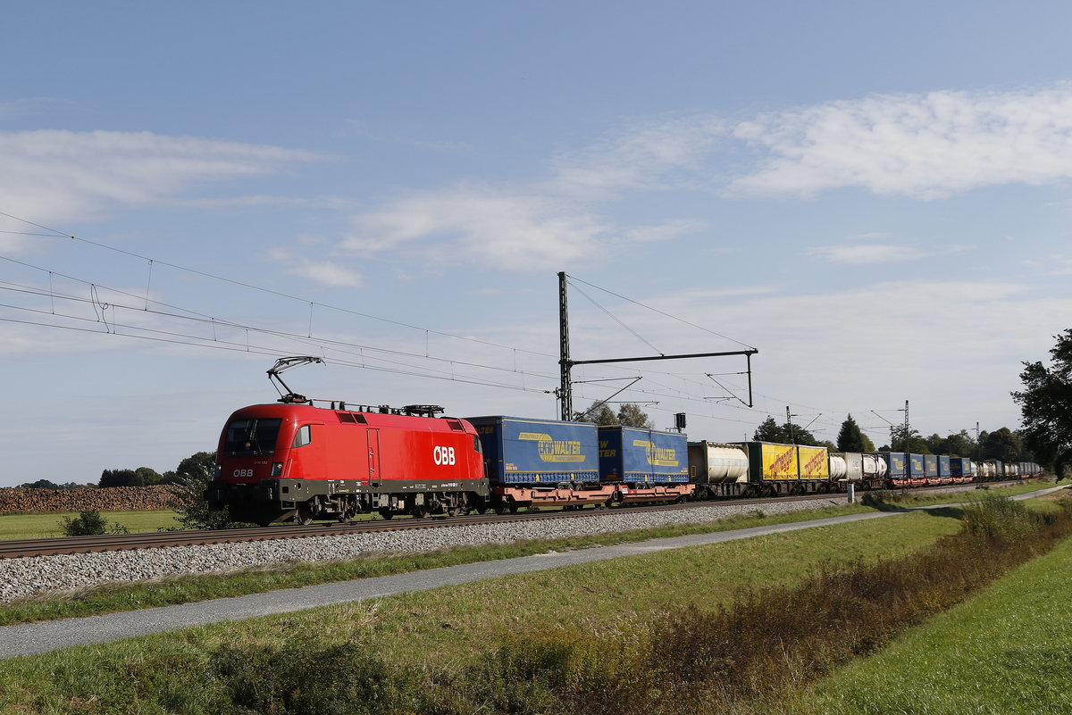 1116 132 kam am 19. September 2018 mit dem  Walter-Zug  aus Salzburg. Aufgenommen bei �bersee am Chiemsee.