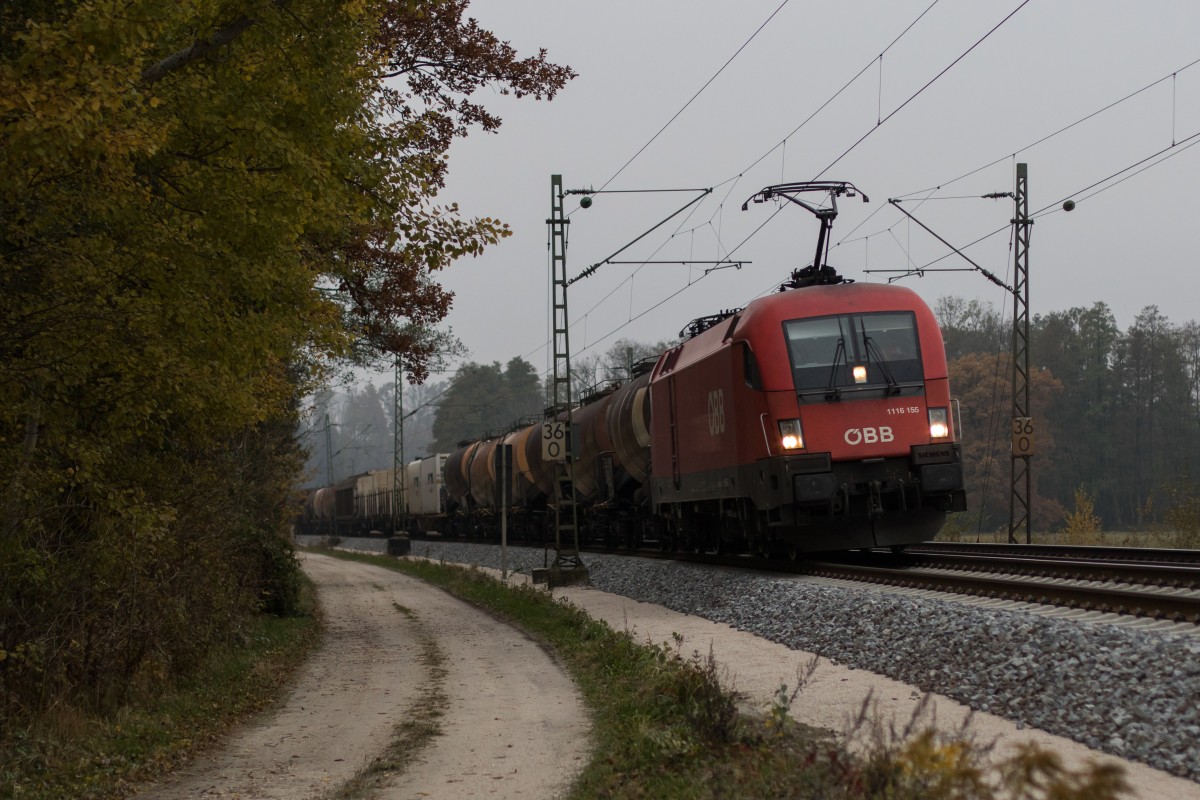 1116 155 mit einem gemischten G�terzug am 30. Oktober 2015 bei �bersee.