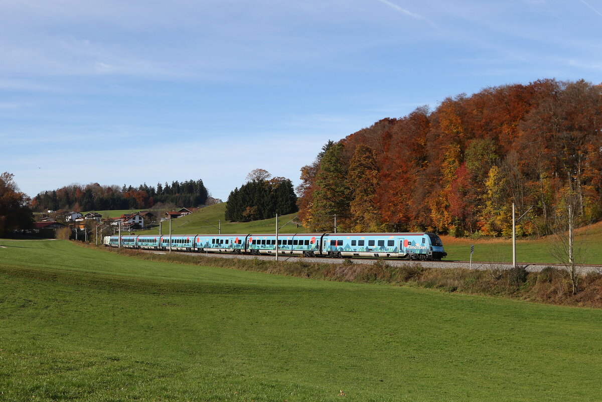1116 231  BIO AUSTRIA  schob am 31. Oktober 2025 die   Klimaticket-Garnitur  in Richtung Salzburg. Aufgenommen bei Axdorf im Chiemgau.