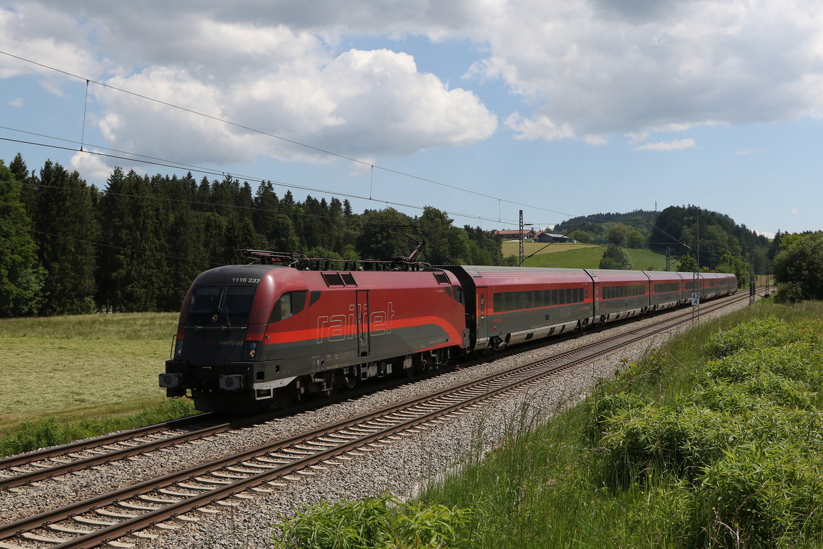 1116 237 aus Salzburg kommend am 2. Juni 2020 bei Grabenst�tt.