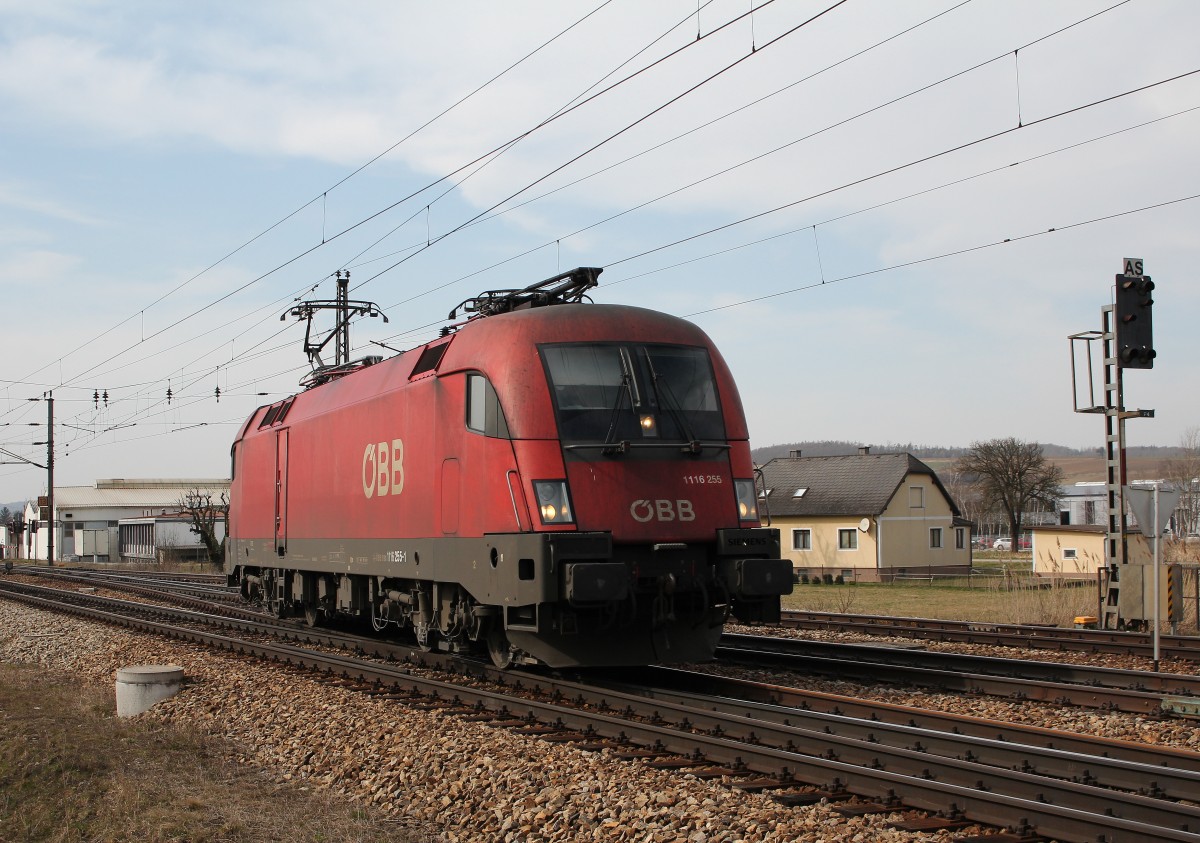 1116 255-1 am 17. M�rz 2015 bei Kirchstetten.