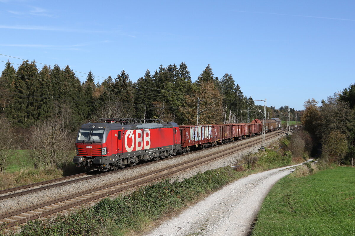 1293 003 mit einem gemischten G�terzug aus Freilassing kommend am 31. Oktober 2022 bei Grabenst�tt.