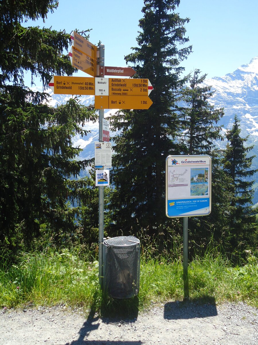 (134'699) - Grindelwaldbus-Haltestelle am 3. Juli 2011 in Grindelwald, Waldspitz
