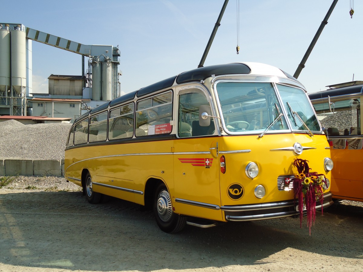 (146'610) - Zimmerli J., Oftringen - AG 57'298 - Berna/Tscher (ex Stutz, Oberlunkhofen; ex Leu, Schongau; ex Wicki, Bremgarten; ex P 22'054) am 31. August 2013 in Niederbipp, Saurertreffen