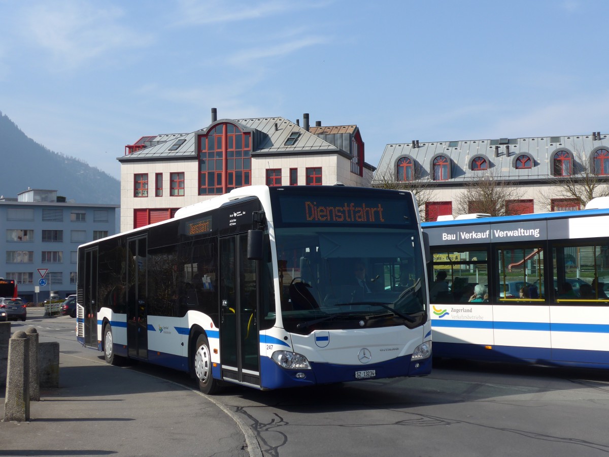 (159'343) - Auf der Maur, Steinen - Nr. 247/SZ 13'234 - Mercedes am 18. Mrz 2015 beim Bahnhof Arth-Goldau