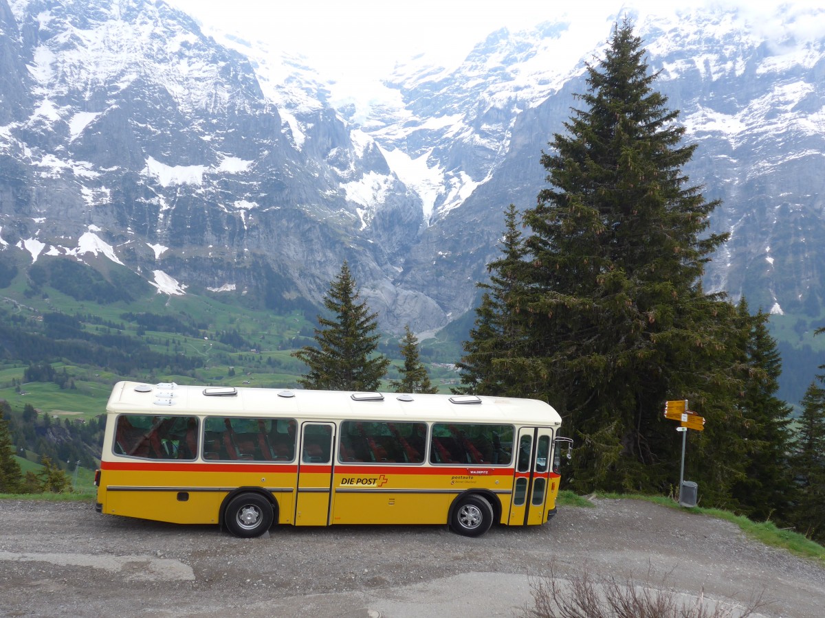 (161'047) - AVG Meiringen - Nr. 74/BE 607'481 - Saurer/R&J (ex PostAuto Berner Oberland; ex P 24'357) am 25. Mai 2015 in Grindelwald, Waldspitz