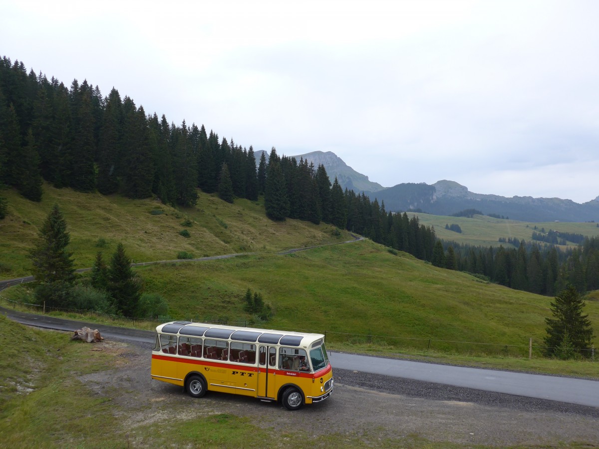 (163'758) - Rentsch, Gunten - BE 823'203 - FBW/Gangloff (ex P 23'203; ex P 21'003) am 23. August 2015 in Habkern, Lombachalp