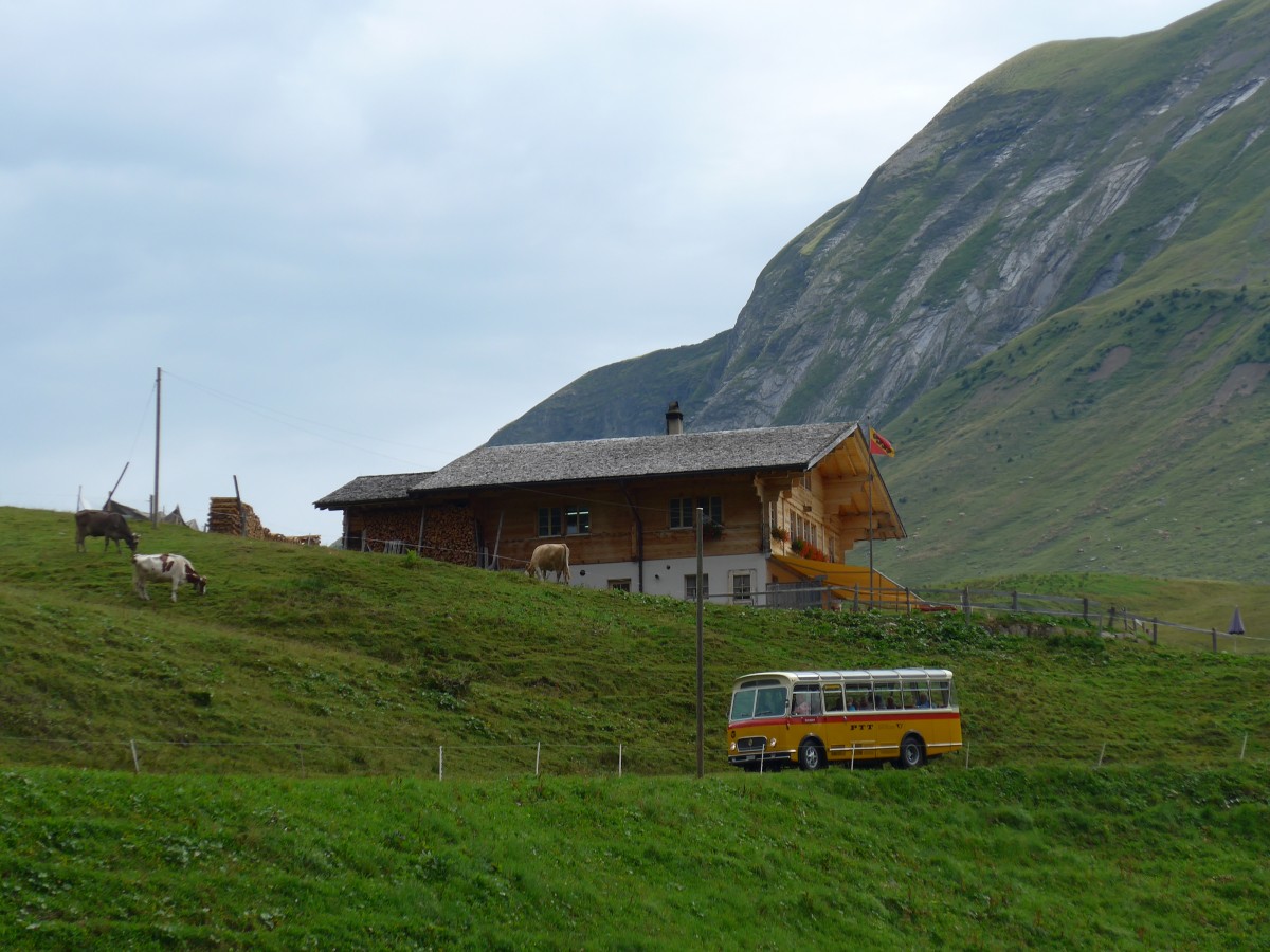 (163'769) - Rentsch, Gunten - BE 823'203 - FBW/Gangloff (ex P 23'203; ex P 21'003) am 23. August 2015 in Habkern, Lombachalp