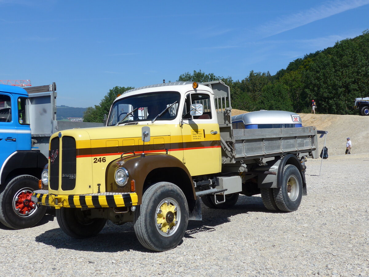 (164'185) - Ammeter, Emdthal - Nr. 246/BE 579 U - Saurer (ex STI Thun Nr. 246; ex STI Thun Nr. 146) am 29. Mai 2015 in Oberkirch, CAMPUS Sursee