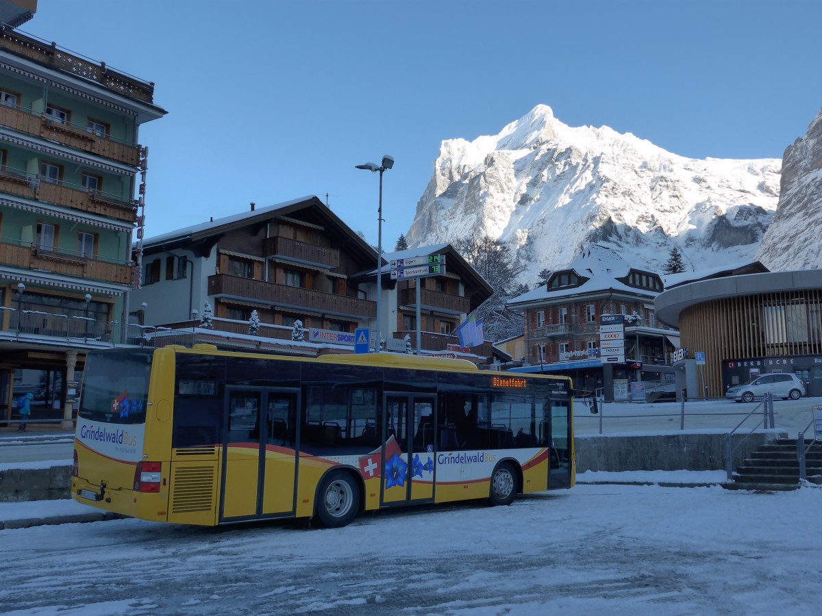 (167'484) - AVG Grindelwald - Nr. 19/BE 363'305 - MAN/Gppel am 23. November 2015 beim Bahnhof Grindelwald