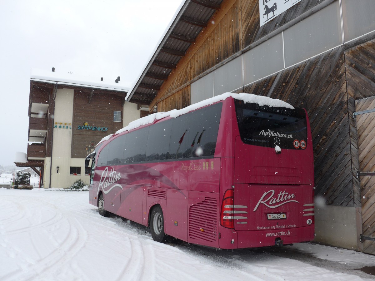 (168'480) - Rattin, Neuhausen - Nr. 7/SH 207 - Mercedes am 17. Januar 2016 in Lenk, Simmenhof