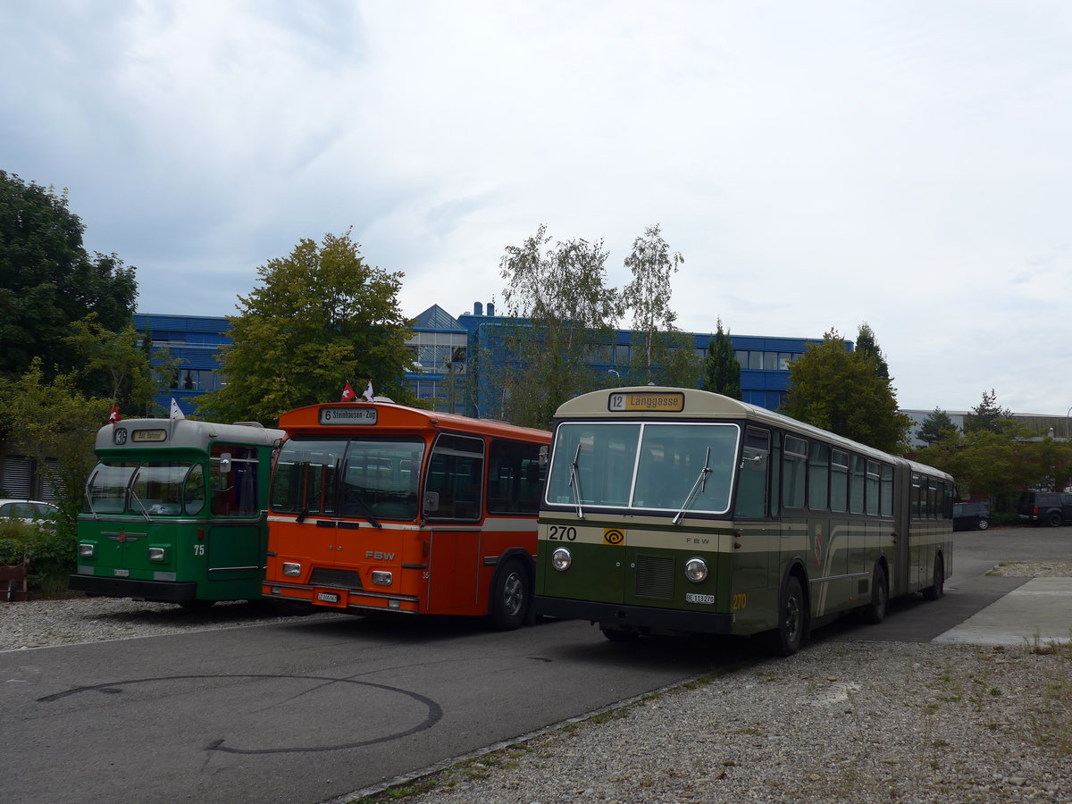 (174'495) - SVB Bern (TVB) - Nr. 270/BE 113'270 - FBW/SWS-Gangloff am 4. September 2016 in Aarberg, Halle TVB