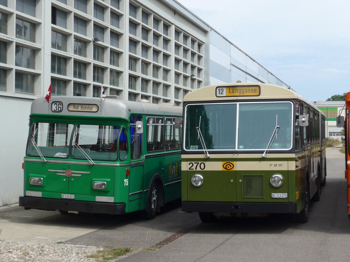 (174'541) - SVB Bern (TVB) - Nr. 270/BE 113'270 - FBW/SWS-Gangloff am 4. September 2016 in Aarberg, Halle TVB