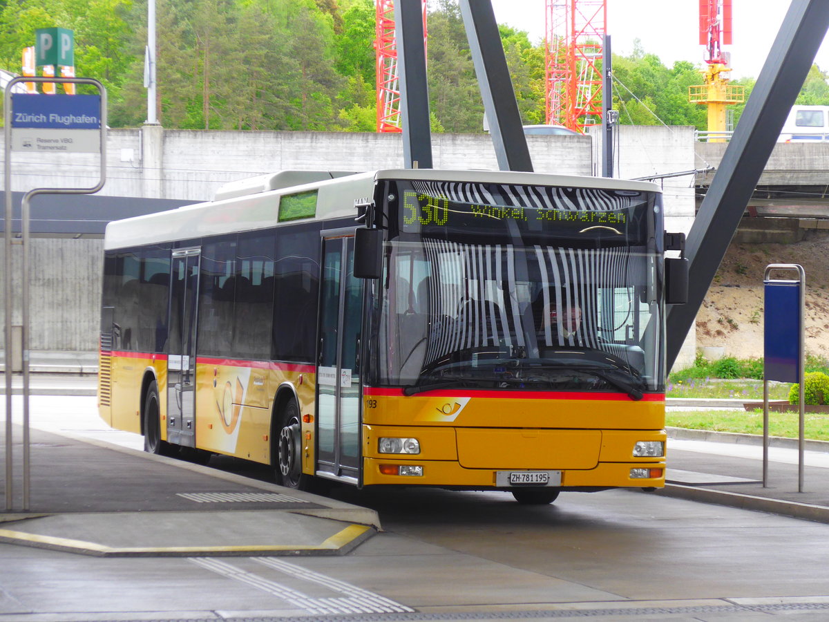 (180'021) - PostAuto Zrich - Nr. 193/ZH 781'195 - MAN (ex Nr. 38) am 4. Mai 2017 in Zrich, Flughafen