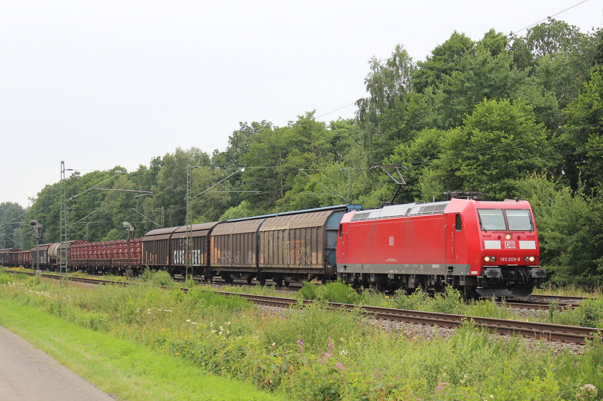 185 009-8 ist mit einen  Gemischten  am Haken auf den Weg nach Hamburg. Tostedt - Dreihausen 16.07.2016