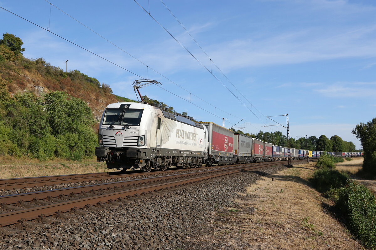 193 617  Peace Movement  von  TX-Logistik  mit einem Containerzug aus W�rzburg kommend am 7. August 2022 bei Himmelstadt am Main.