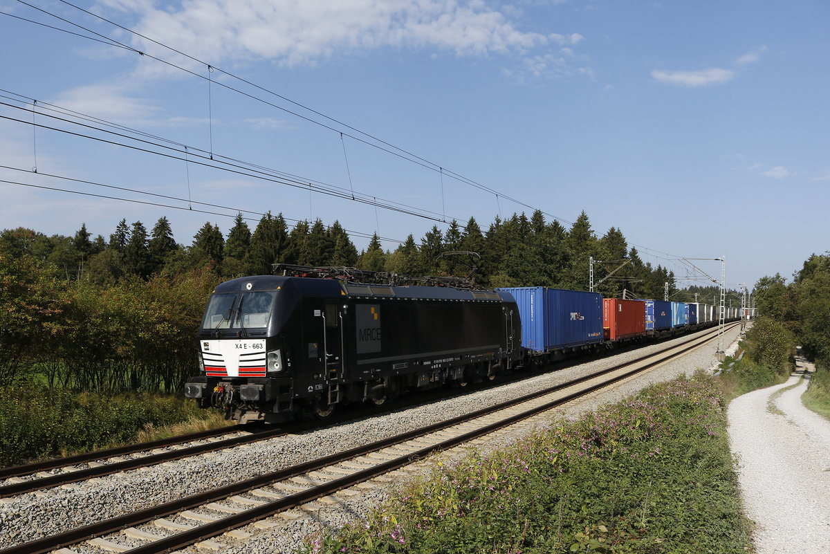 193 663 mit einem Containerzug aus Salzburg kommend am 18. September 2018 bei Grabenst�tt.