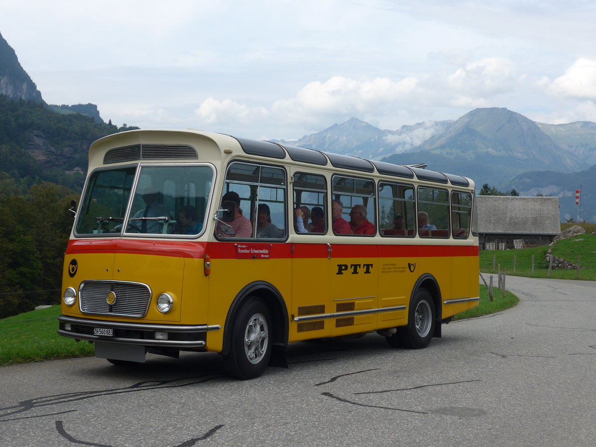 (197'736) - Frutig, Birmensdorf - ZH 560'883 - FBW/FHS (ex P 23'217) am 16. September 2018 in Geissholz, Hori