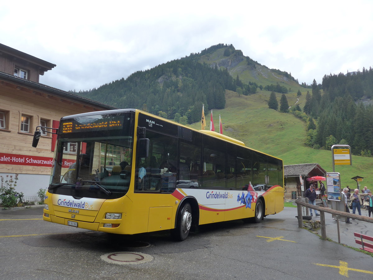 (197'809) - AVG Grindelwald - Nr. 11/BE 261'865 - MAN/Gppel am 16. September 2018 auf der Schwarzwaldalp