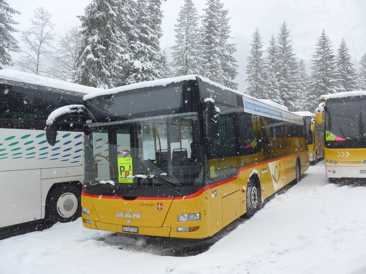 (201'163) - Wyss, Boningen - Nr. 46/SO 107'274 - MAN am 13. Januar 2019 in Adelboden, Unter dem Birg