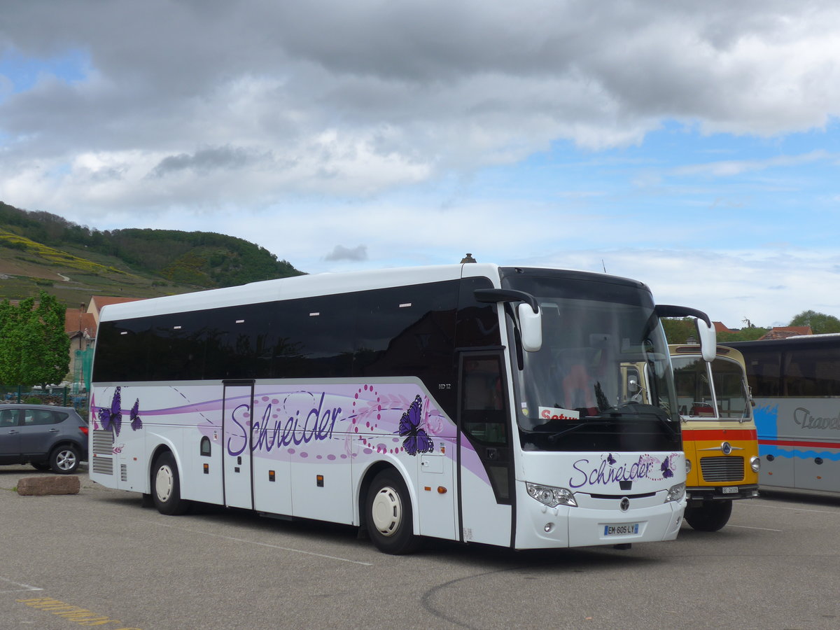 (204'542) - Schneider, Sand - EM 605 LY - Temsa am 28. April 2019 in Kaysersberg, Rocade Verte