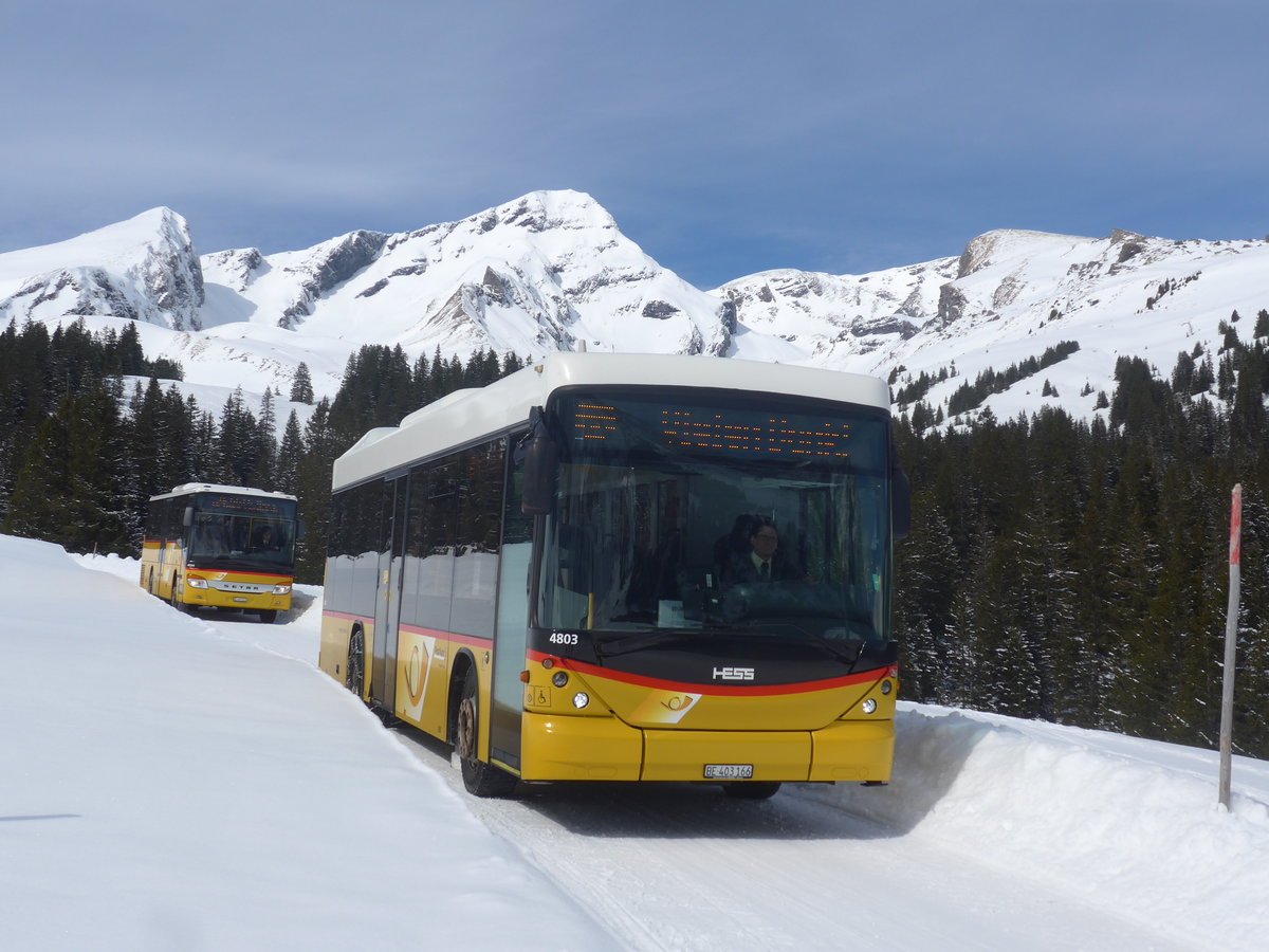 (215'077) - PostAuto Bern - BE 403'166 - Scania/Hess (ex AVG Meiringen Nr. 66; ex Steiner, Messen) am 8. Mrz 2020 in Grindelwald, Alpiglen