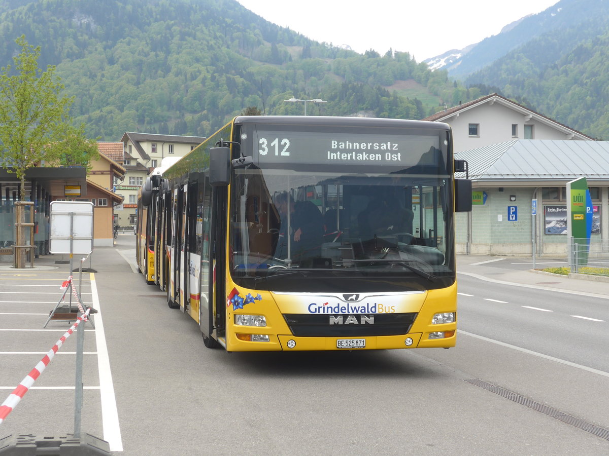 (216'303) - Grindelwaldbus, Grindelwald - Nr. 15/BE 525'871 - MAN am 21. April 2020 beim Bahnhof Wilderswil