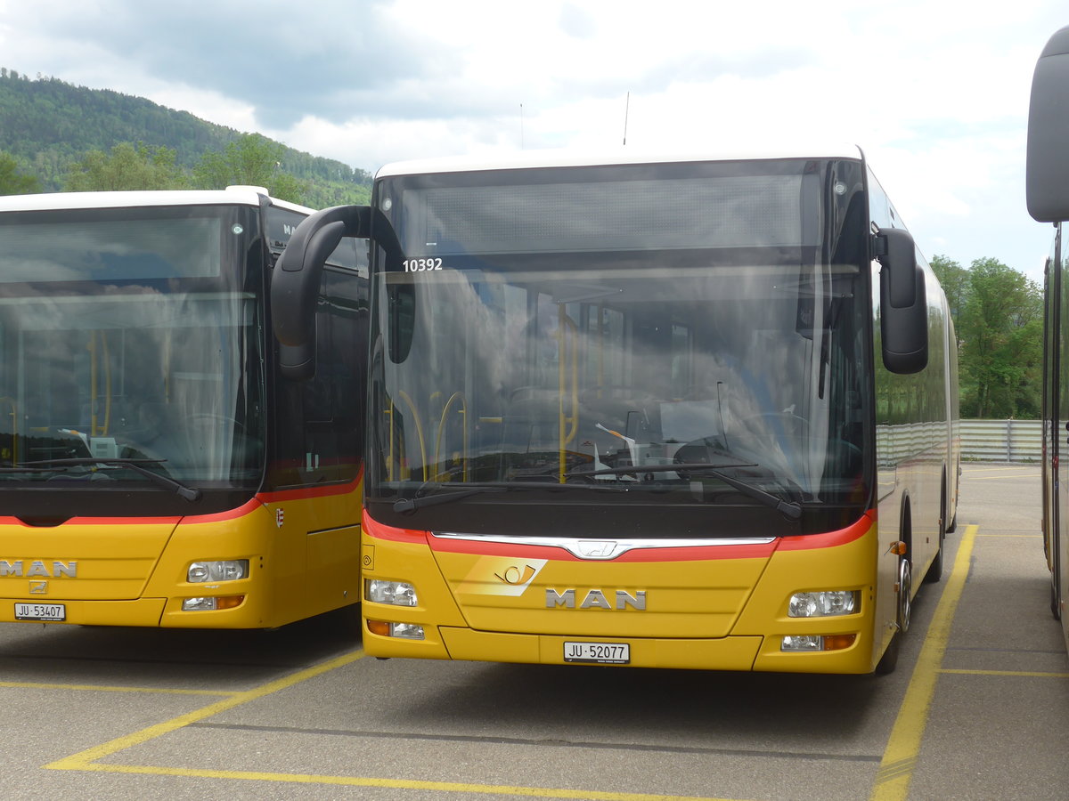 (216'938) - CarPostal Ouest - JU 52'077 - MAN (ex Nr. 74) am 10. Mai 2020 in Develier, Parkplatz