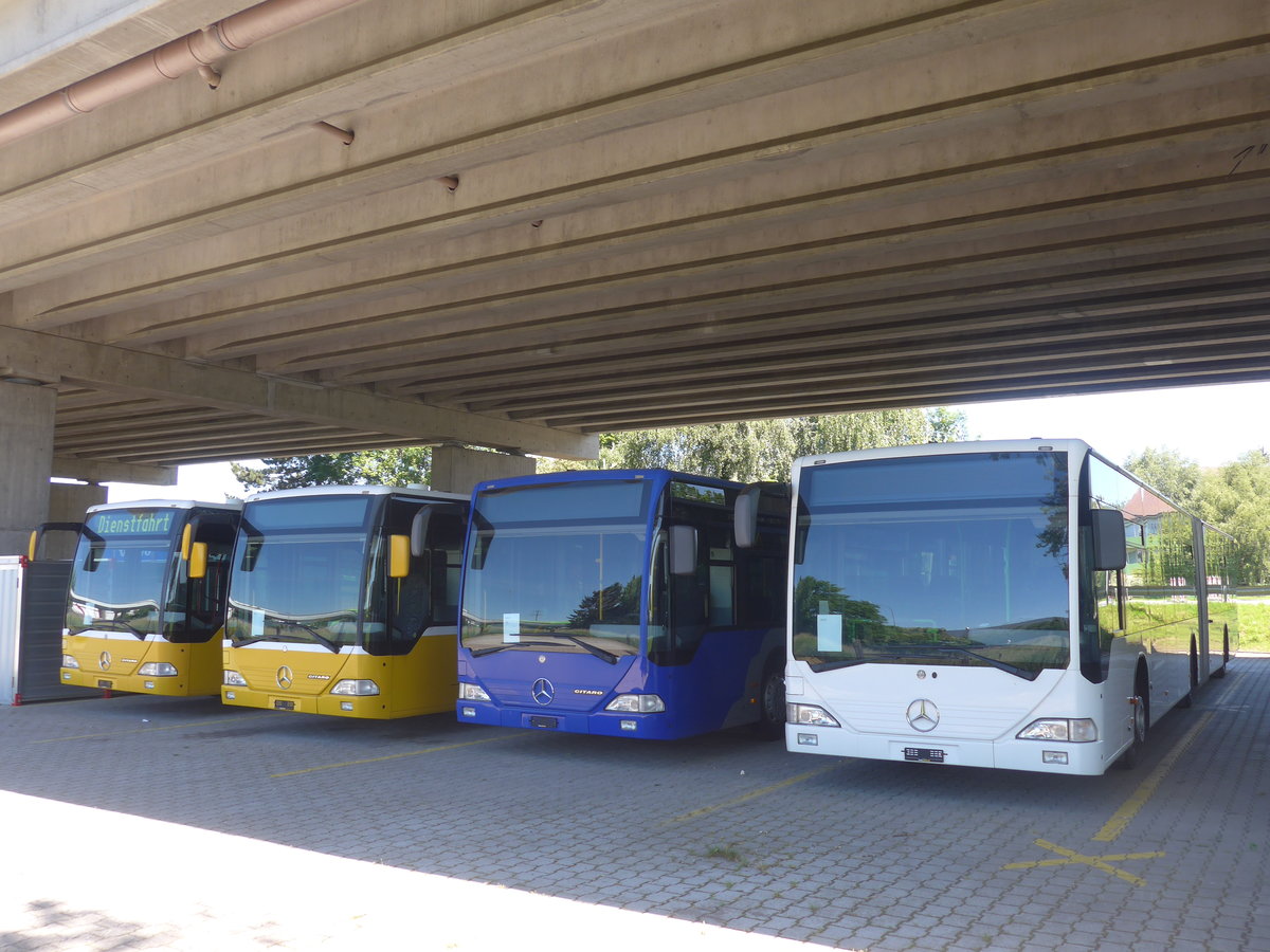 (217'143) - BVB Basel - Nr. 791 - Mercedes (ex Knecht, Windisch; ex AAGS Schwyz Nr. 84; ex VR La Chaux-de-Fonds Nr. 228) am 21. Mai 2020 in Kerzers, Interbus