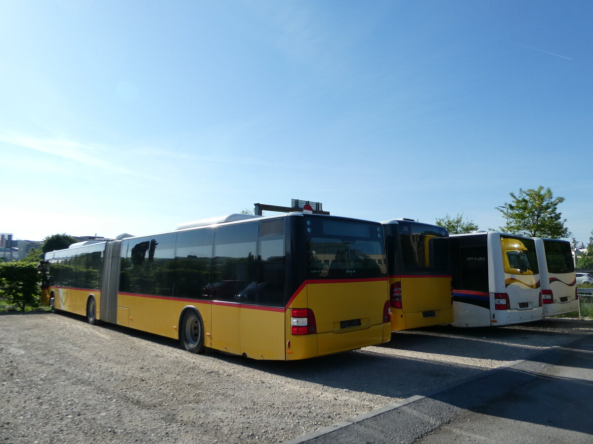 (235'582) - CarPostal Ouest - (JU 53'406) - MAN (ex Nr. 36) am 15. Mai 2022 in St-Blaise, Recam