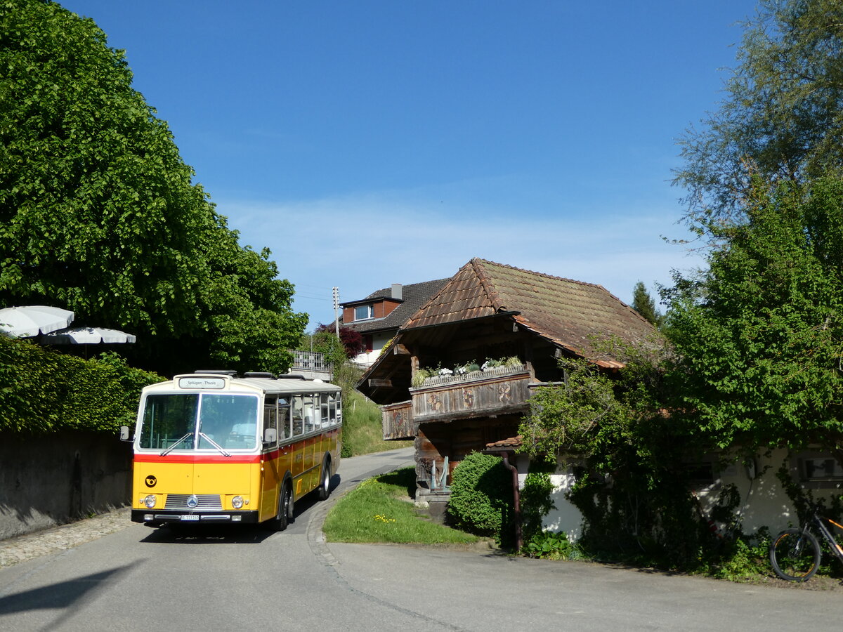 (235'720) - Gast, Reutigen - BE 113'160 - Saurer/Tscher (ex HPTrans, Thusis; ex Mauerhofer, Worb; ex Erni, Schupfart Nr. 3; ex P 24'636) am 15. Mai 2022 in Heimiswil, Lwen