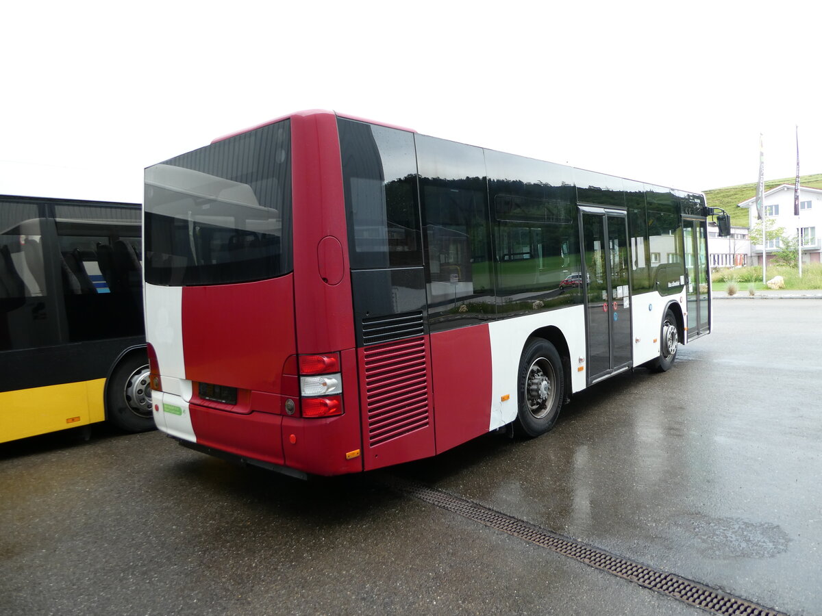 (236'836) - TPF Fribourg - Nr. 350 - MAN/Gppel am 5. Juni 2022 in Winterthur, EvoBus