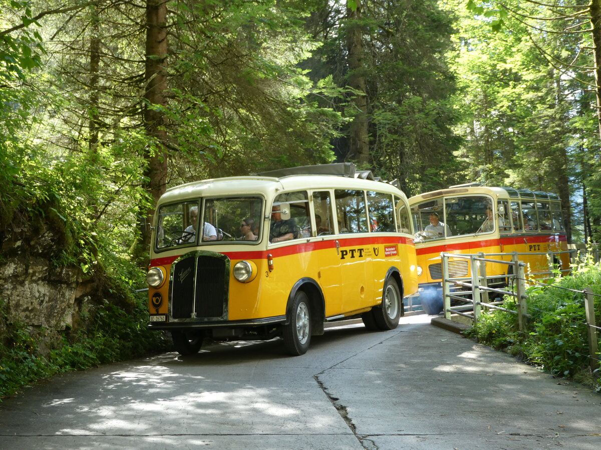 (237'691) - Schmid, Thrishaus - Nr. 3/BE 26'760 - Saurer/Gangloff (ex Geiger, Adelboden Nr. 3) am 26. Juni 2022 in Kiental, Tschingel