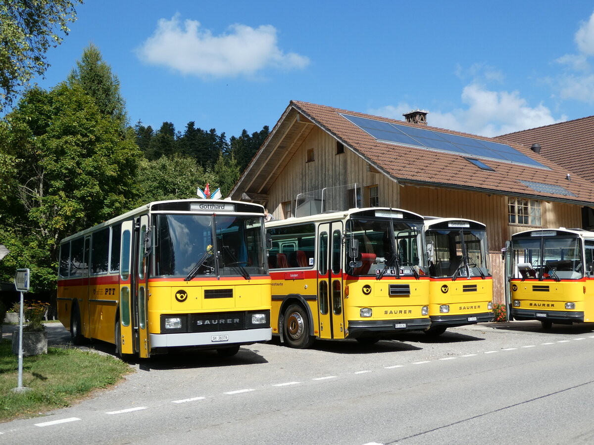 (239'868) - Roth, Zrich - SH 36'376 - Saurer/Tscher (ex Looser, Elm; ex Mattli, Wassen) am 28. August 2022 in Schwarzenegg, Restaurant Kreuz