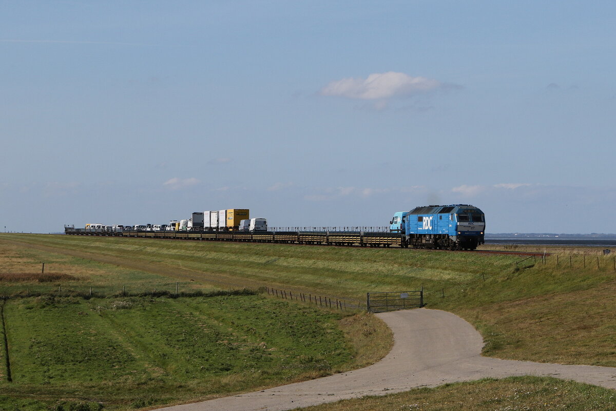 251 007  Cindy  mit einem Autozug aus Sylt kommend am 15. September 2023 bei Klanxb�ll.