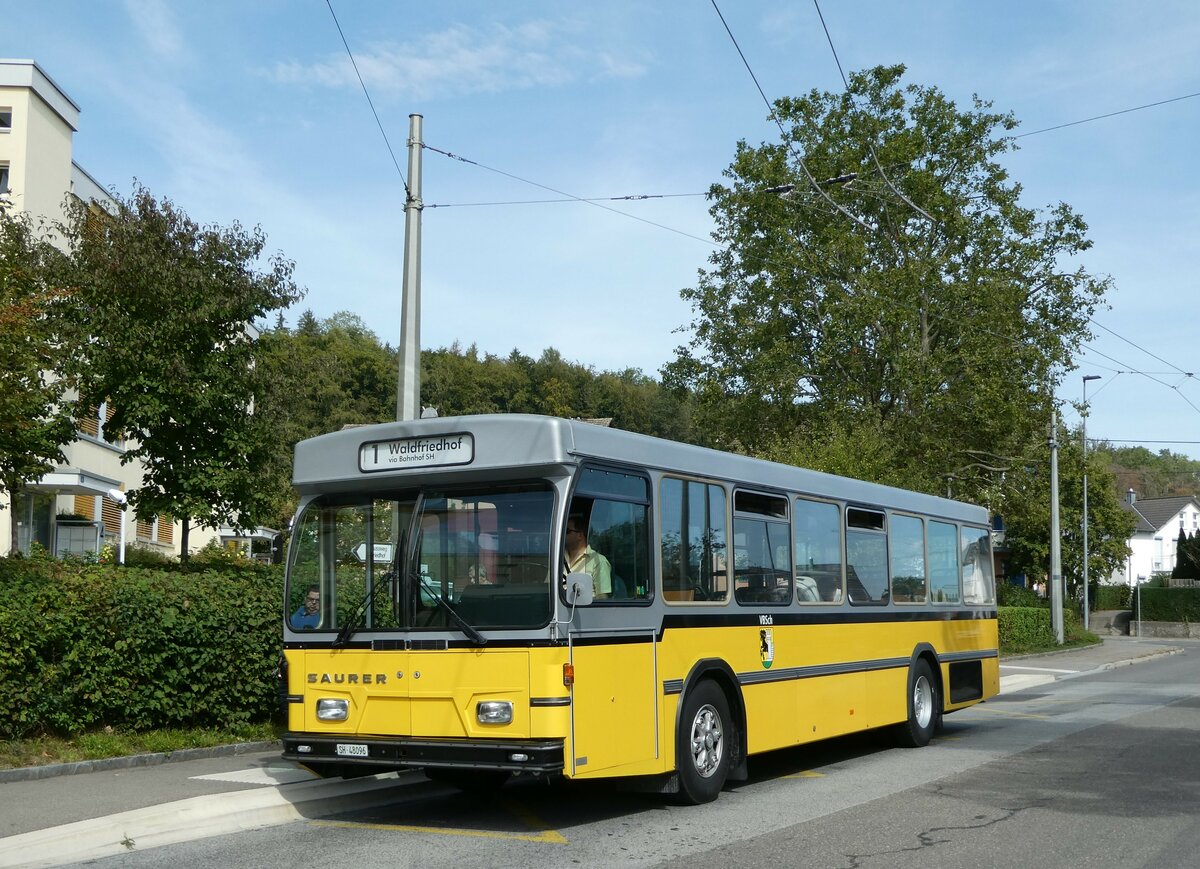 (255'285) - Wanner, Schleitheim - SH 48'096 - Saurer/Hess (ex Ruklic, Schaffhausen; ex VBSH Schaffhausen Nr. 40; ex VBSH Schaffhausen Nr. 19) am 17. September 2023 in Neuhausen, Herbstcker