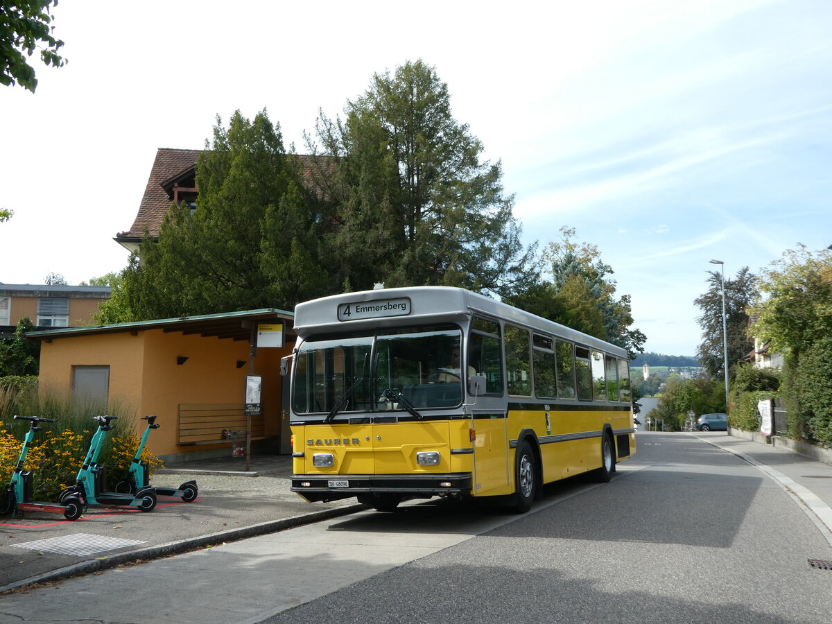 (255'339) - Wanner, Schleitheim - SH 48'096 - Saurer/Hess (ex Ruklic, Schaffhausen; ex VBSH Schaffhausen Nr. 40; ex VBSH Schaffhausen Nr. 19) am 17. September 2023 in Schaffhausen, Feldstrasse