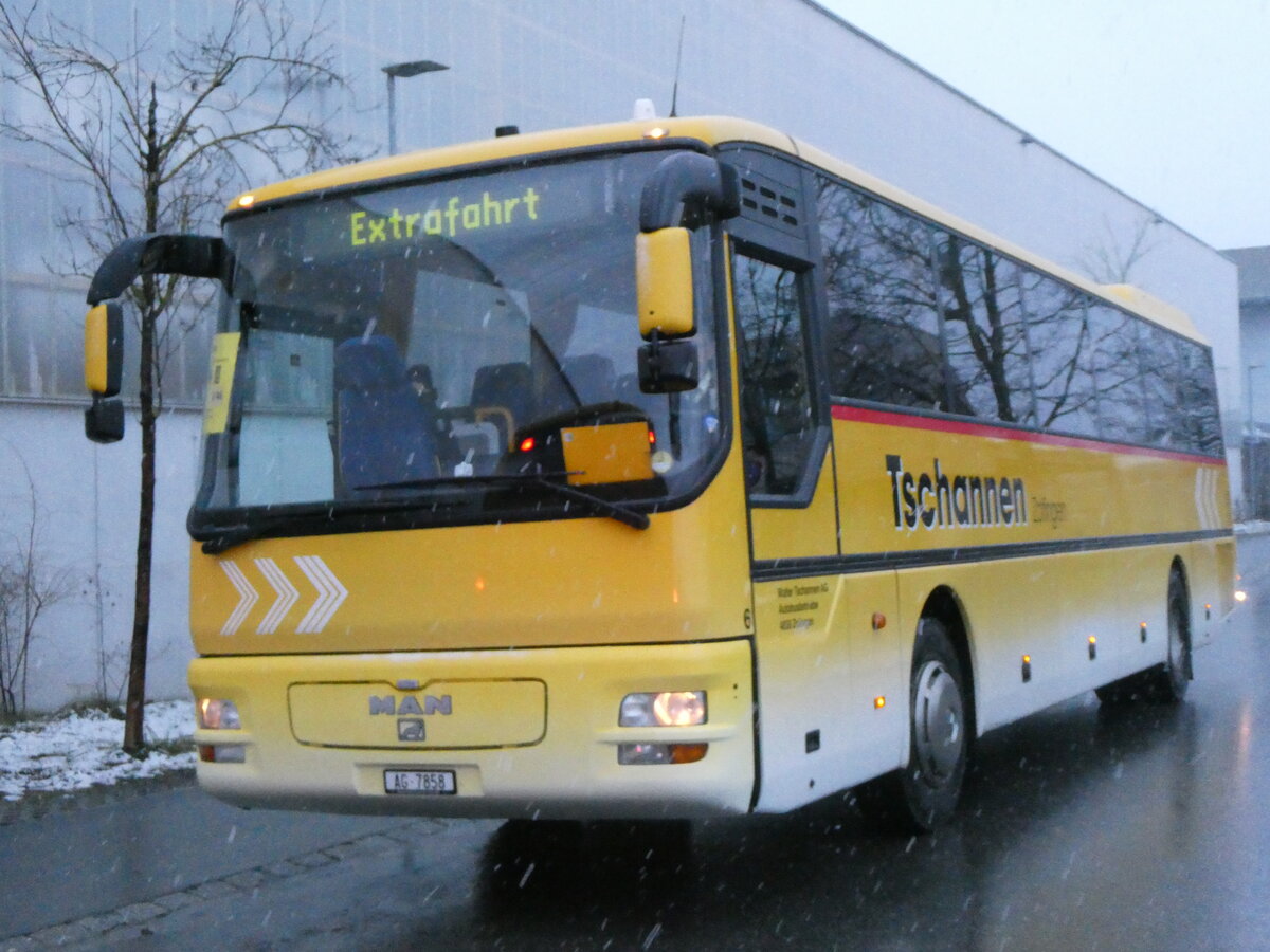 (258'170) - Tschannen, Zofingen - Nr. 6/AG 7858 - MAN (ex STI Thun Nr. 39) am 6. Januar 2024 beim Bahnhof Frutigen