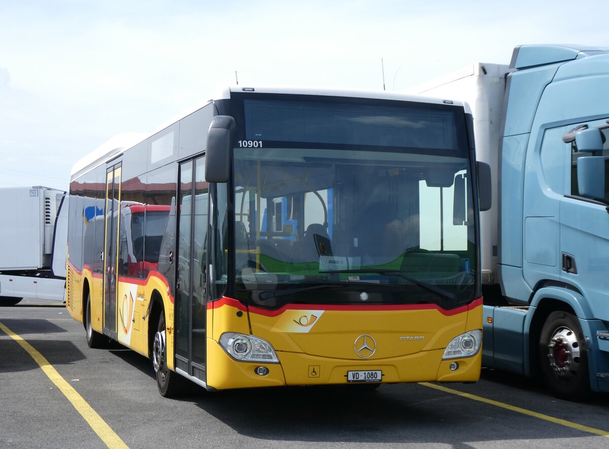 (265'415) - CarPostal Ouest - VD 1080/PID 10'901 - Mercedes (ex TPB, Sdeilles) am 4. August 2024 in Kerzers, Interbus