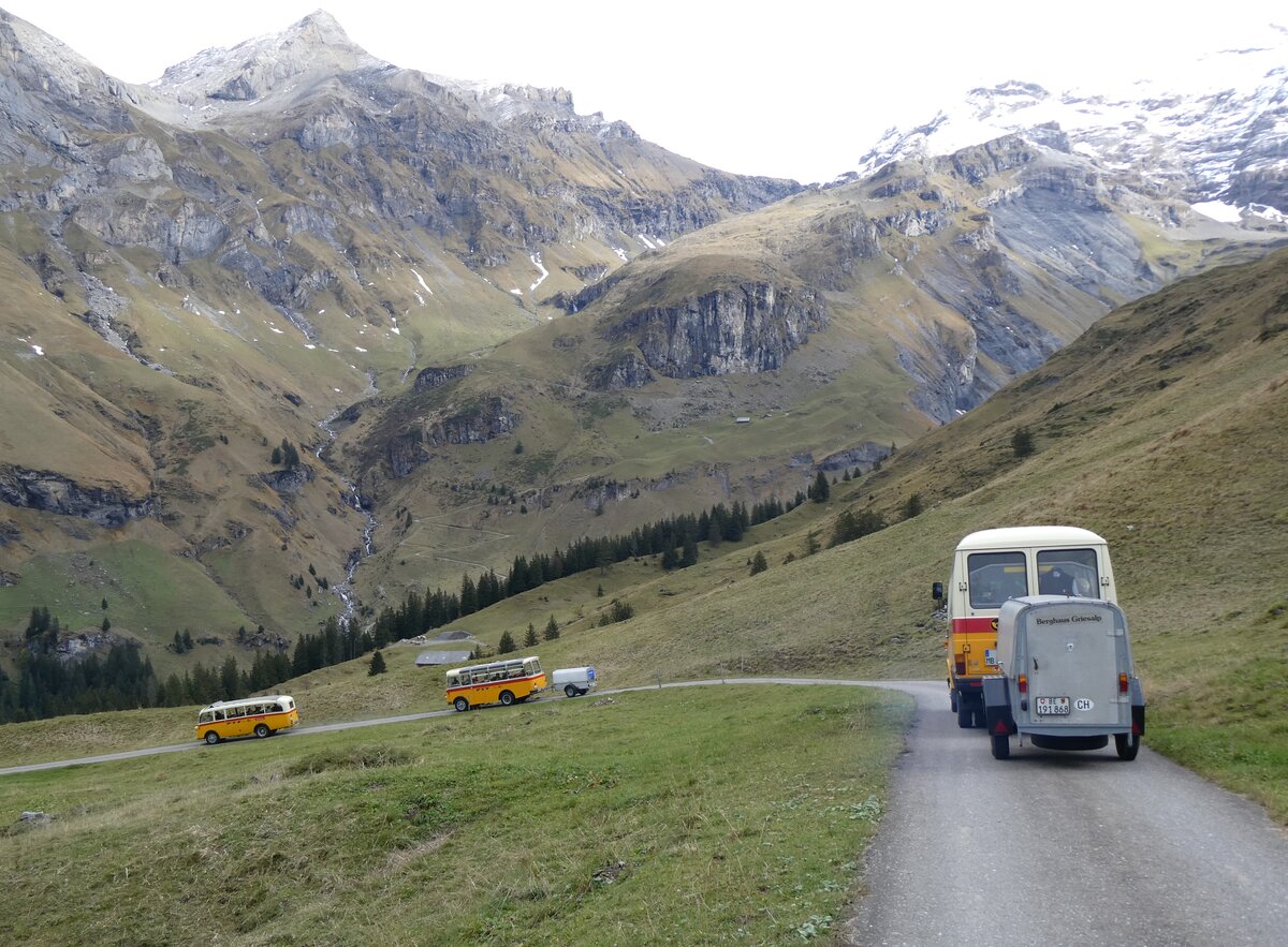 (268'128) - Schmid, Thrishaus - Nr. 3/BE 26'760 - Saurer/Gangloff (ex Geiger, Adelboden Nr. 3) + Nr. 9/BE 26'105 - Saurer/R&J (ex Geiger, Adelboden Nr. 9) + aus Deutschland: Hahn, Mnchen - Nr. 6/M-MB 309H - Mercedes (ex Mller, CH-Ennetmoos Nr. 6; ex Portenier, CH-Adelboden Nr. 6; ex Geiger, CH-Adelboden Nr. 6) am 12. Oktober 2024 bei der Bundalp