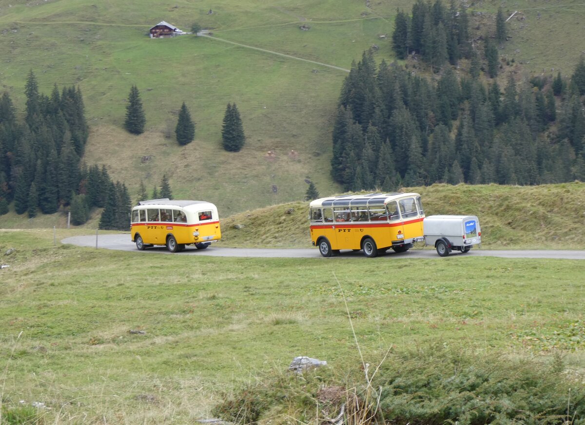 (268'130) - Schmid, Thrishaus - Nr. 3/BE 26'760 - Saurer/Gangloff (ex Geiger, Adelboden Nr. 3) + Nr. 9/BE 26'105 - Saurer/R&J (ex Geiger, Adelboden Nr. 9) am 12. Oktober 2024 bei der Bundalp