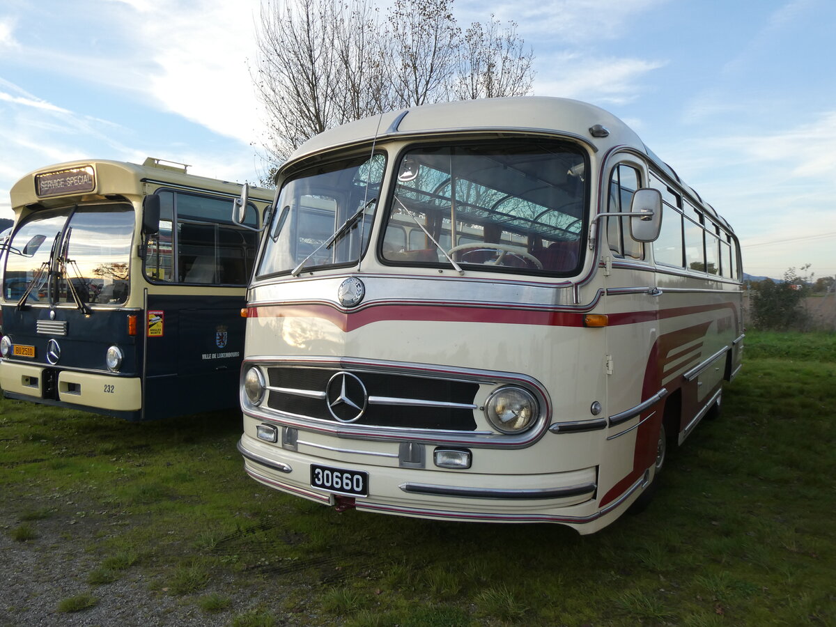 (268'473) - Aus Luxemburg: Simon, Diekirch - 30'660 - Mercedes am 25. Oktober 2024 in Kintzheim, Cigoland