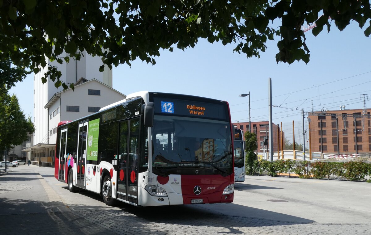 (278'878) - TPF Fribourg - Nr. 6004/FR 300'357 - Mercedes am 15. August 2025 beim Bahnhof Ddingen