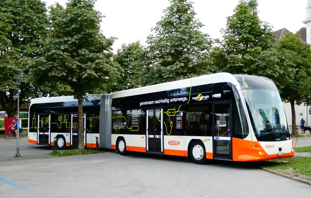 (279'113) - BSU Solothurn - Nr. 1130/SO 200'130 - eHess am 16. August 2025 in Solothurn, Baseltor