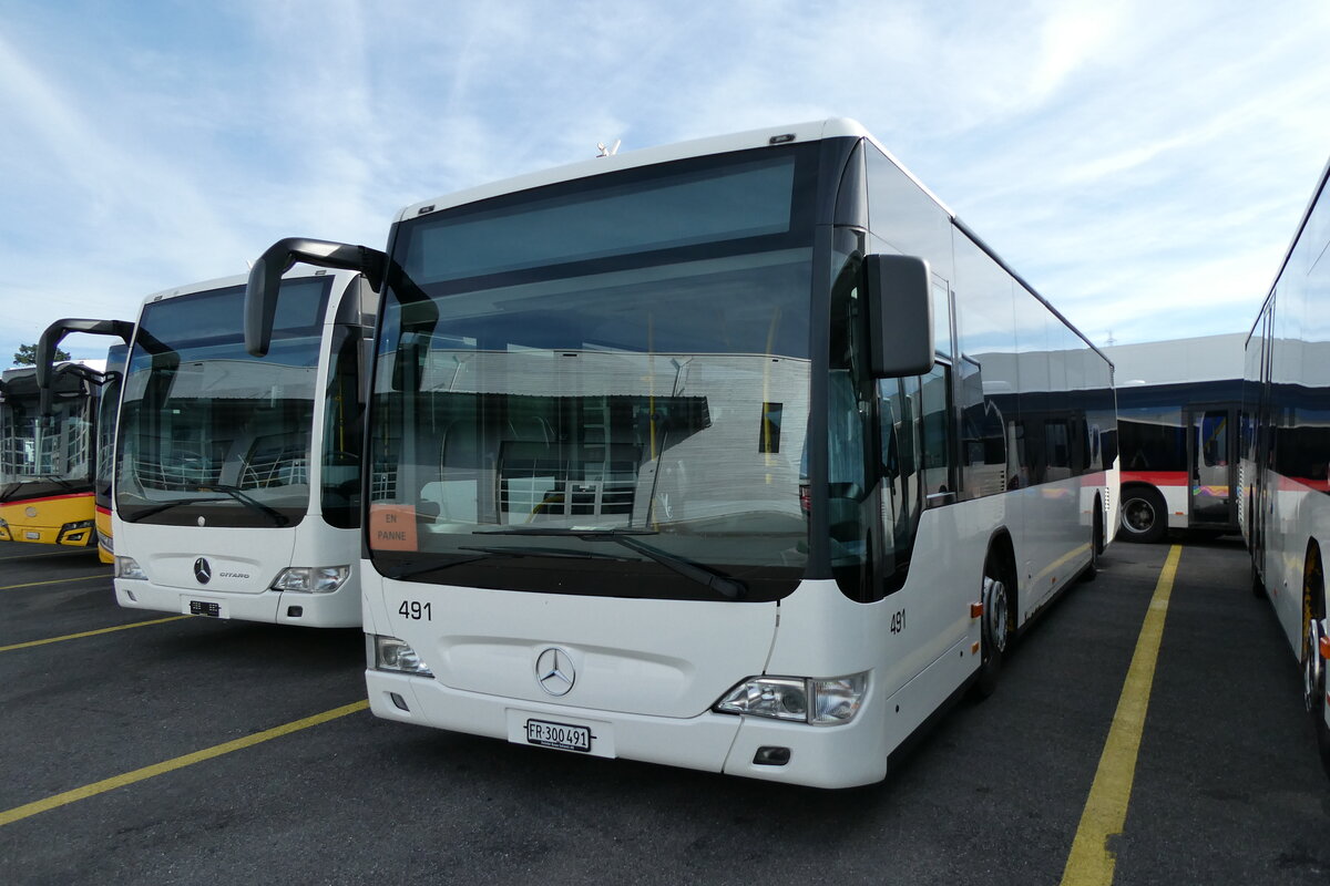 (280'011) - Intertours, Domdidier - Nr. 491/FR 300'491 - Mercedes (ex Steiner, Ortschwaben Nr. 12/PID 4289) am 6. September 2025 in Kerzers, Interbus