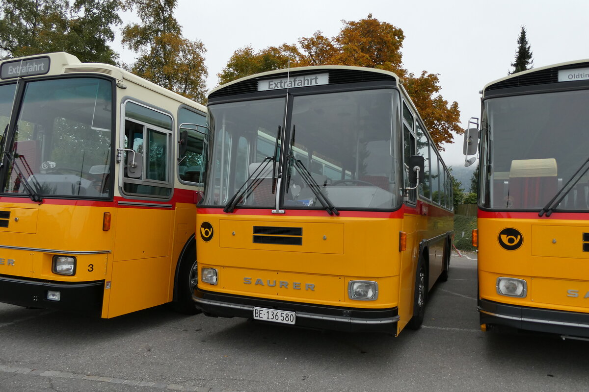 (281'331) - Schumacher, Liebefeld - BE 136'580 - Saurer/Tscher (ex Zimmermann, Niederwangen; ex P 24'289) am 12. Oktober 2025 in Schwarzenberg, Rssli