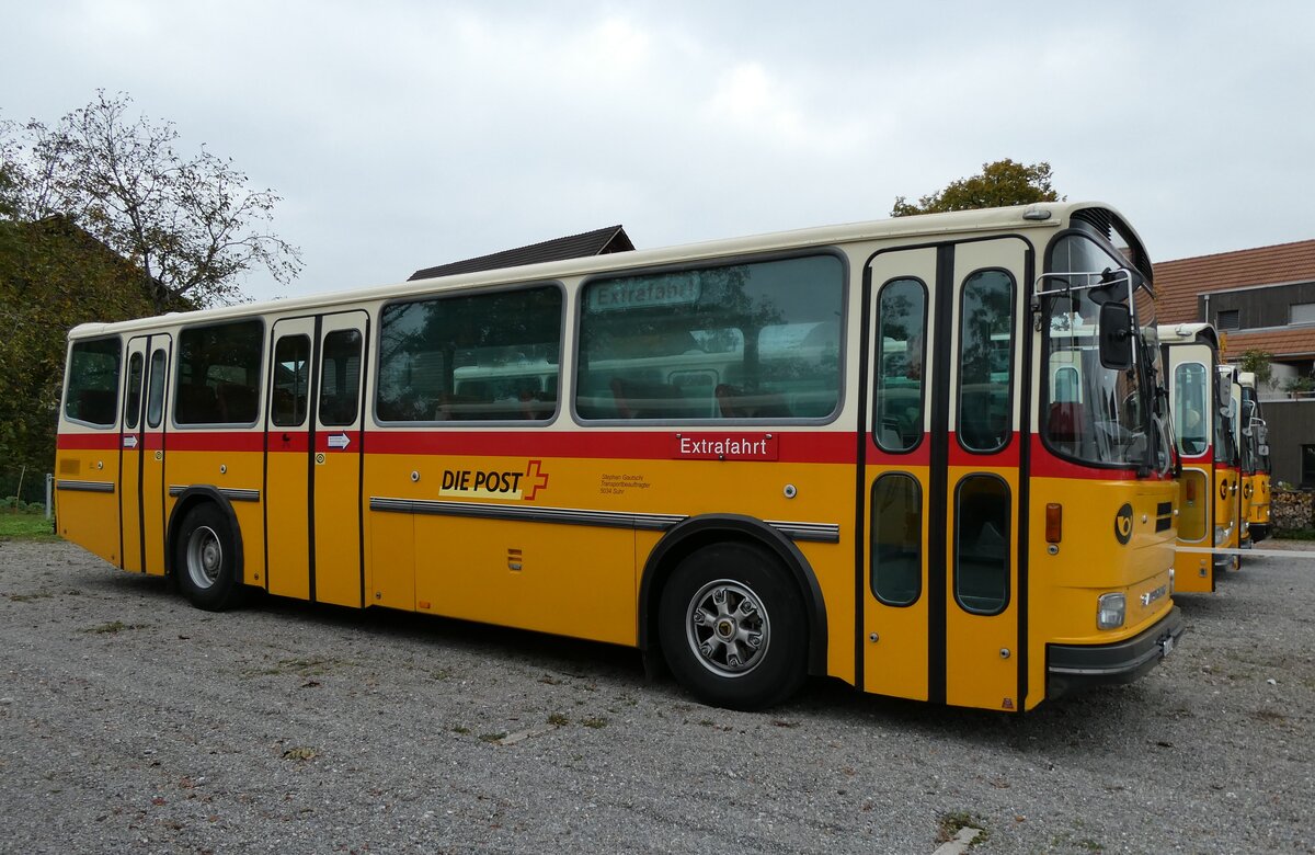 (281'451) - Gautschi, Suhr - AG 6835 - Saurer/Tscher (ex Ltscher, Neuheim Nr. 200/PID 2525; ex Cartek, Regensdorf; ex P 25'822) am 12. Oktober 2025 in Hitzkirch, Interkantonale Polizeischule