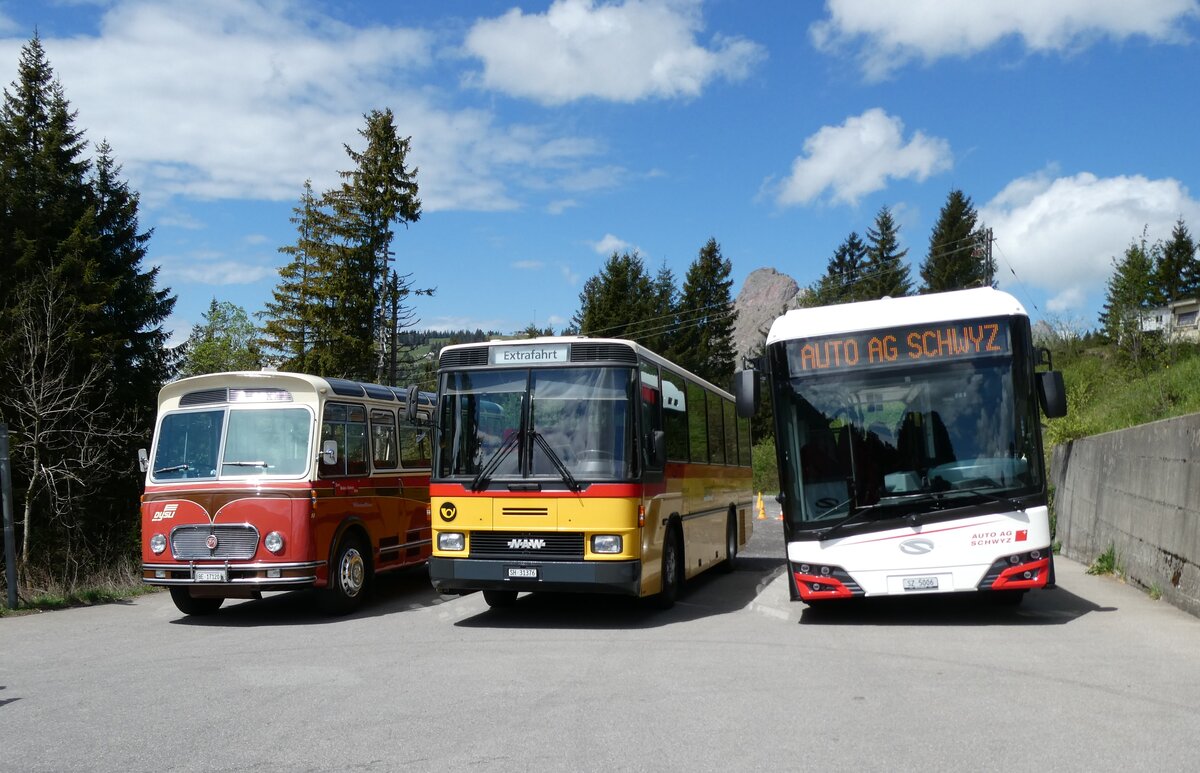 (286'895) - Dysli, Bern - Nr. 18/BE 17'120 - FBW/FHS (ex P 23'211; ex P 21'011) + Ruklic, Schaffhausen - SH 31'376 - NAW/Hess (ex AVG Meiringen Nr. 68/PID 964; ex P 24'454) + AAGS Schwyz - Nr. 6/SZ 5006 - eSolaris am 9. Mai 2026 in Ibergeregg, Passh�he