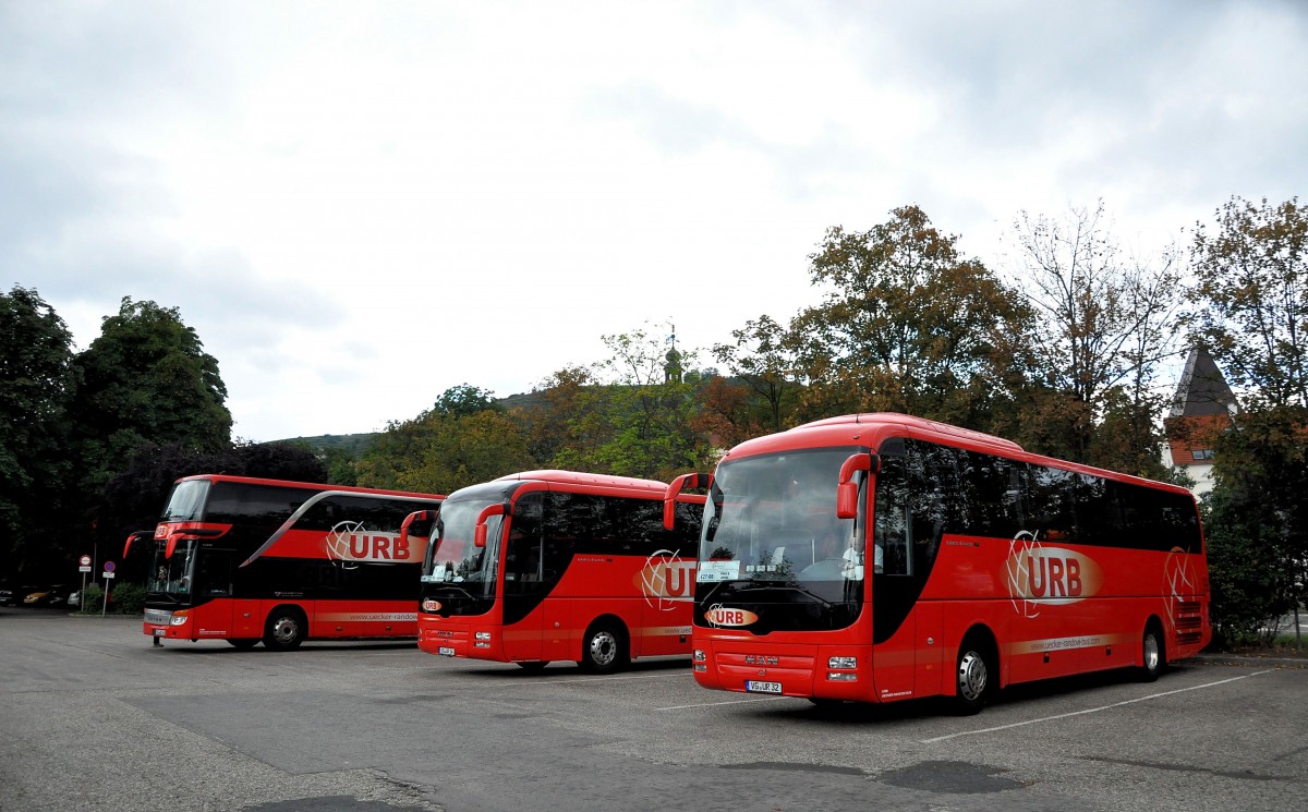 3x URB Busse,rechts ein MAN Lions Coach,Krems,September 2013.
